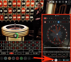 Roulette burenspel gebruiken