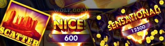 Win extra hoge bedragen tijdens de free spins modus Wolf Gold